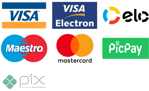 Visa, Visa Electron, Elo, Maestro, Mastercard, PicPay e Pix